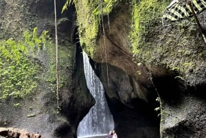 Ubud: Hidden Gems and Waterfalls Private Tour
