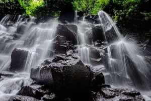 Ubud: Hidden Gems and Waterfalls Private Tour
