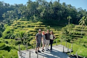 Ubud: Hidden Gems and Waterfalls Private Tour