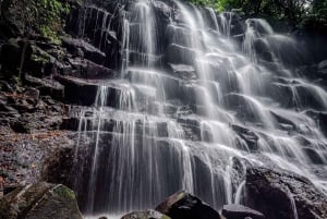 Ubud: Hidden Gems and Waterfalls Private Tour