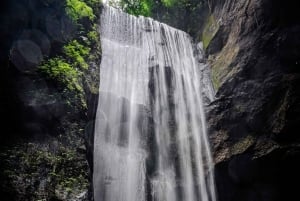 Ubud: Hidden Gems and Waterfalls Private Tour