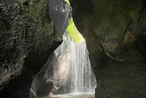 Ubud: Hidden Gems and Waterfalls Private Tour