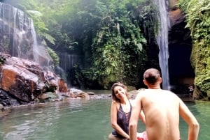 Ubud: Hidden Gems and Waterfalls Private Tour