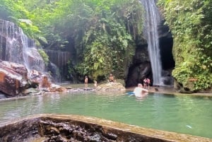 Ubud: Hidden Gems and Waterfalls Private Tour