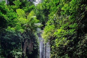 Ubud: Hidden Gems and Waterfalls Private Tour