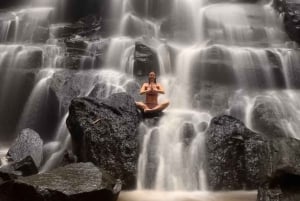 Ubud: Hidden Gems and Waterfalls Private Tour
