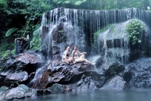 Ubud: Hidden Gems and Waterfalls Private Tour