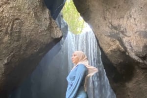 Ubud: Hidden Gems and Waterfalls Private Tour