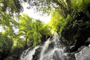 Ubud: Hidden Gems and Waterfalls Private Tour