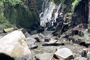 Ubud: Hidden Gems and Waterfalls Private Tour