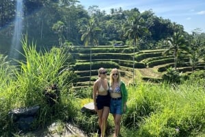 Ubud: Hidden Gems and Waterfalls Private Tour