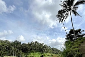 Ubud: Hidden Gems and Waterfalls Private Tour