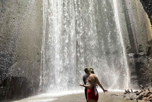 Ubud: Hidden Gems and Waterfalls Private Tour