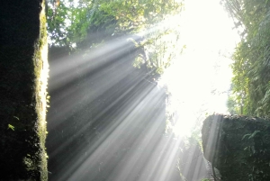 Ubud: Hidden Gems and Waterfalls Private Tour