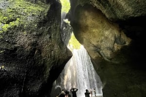 Ubud: Hidden Gems and Waterfalls Private Tour