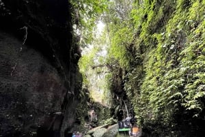 Ubud: Hidden Gems and Waterfalls Private Tour
