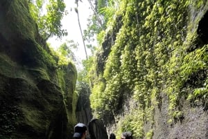 Ubud: Hidden Gems and Waterfalls Private Tour