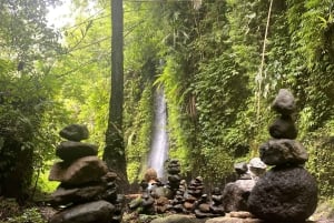 Ubud: Hidden Gems and Waterfalls Private Tour
