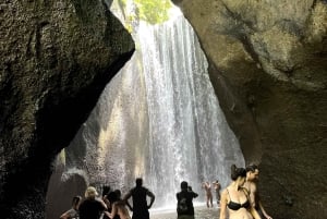 Ubud: Hidden Gems and Waterfalls Private Tour