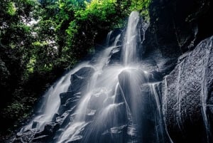 Ubud: Hidden Gems and Waterfalls Private Tour