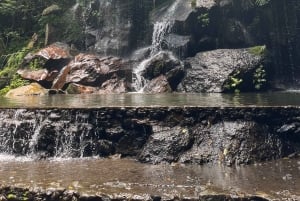 Ubud: Hidden Gems and Waterfalls Private Tour