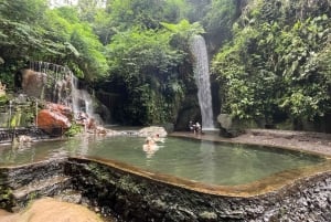 Ubud: Hidden Gems and Waterfalls Private Tour