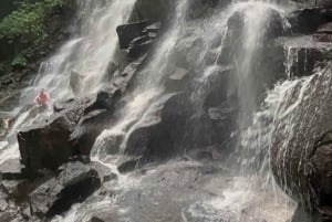 Ubud: Hidden Gems and Waterfalls Private Tour
