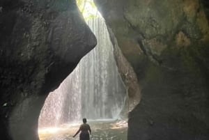 Ubud: Hidden Gems and Waterfalls Private Tour