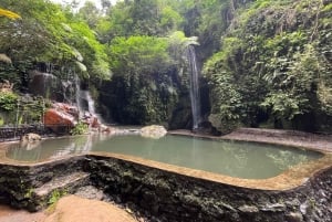 Ubud: Hidden Gems and Waterfalls Private Tour
