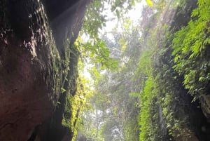 Ubud: Hidden Gems and Waterfalls Private Tour