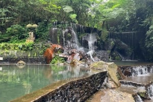 Ubud: Hidden Gems and Waterfalls Private Tour