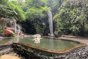 Ubud: Hidden Gems and Waterfalls Private Tour