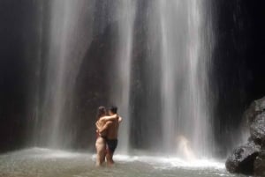 Ubud: Hidden Gems and Waterfalls Private Tour