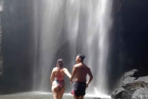 Ubud: Hidden Gems and Waterfalls Private Tour