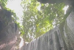 Ubud: Hidden Gems and Waterfalls Private Tour