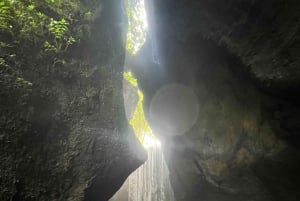Ubud: Hidden Gems and Waterfalls Private Tour