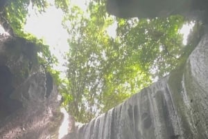 Ubud: Hidden Gems and Waterfalls Private Tour