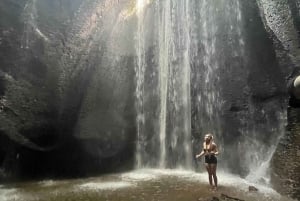 Ubud: Hidden Gems and Waterfalls Private Tour