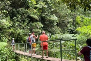 Ubud: Hidden Gems and Waterfalls Private Tour