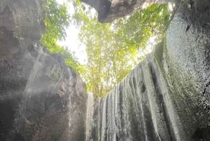 Ubud: Hidden Gems and Waterfalls Private Tour