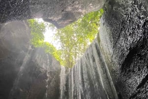 Ubud: Hidden Gems and Waterfalls Private Tour
