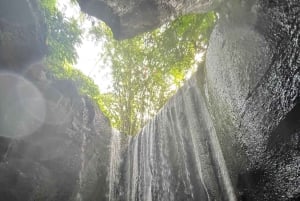 Ubud: Hidden Gems and Waterfalls Private Tour