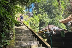 Ubud: Hidden Gems and Waterfalls Private Tour