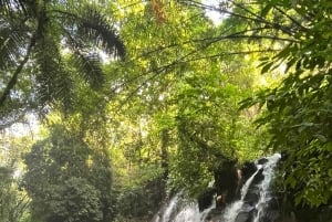 Ubud: Hidden Gems and Waterfalls Private Tour