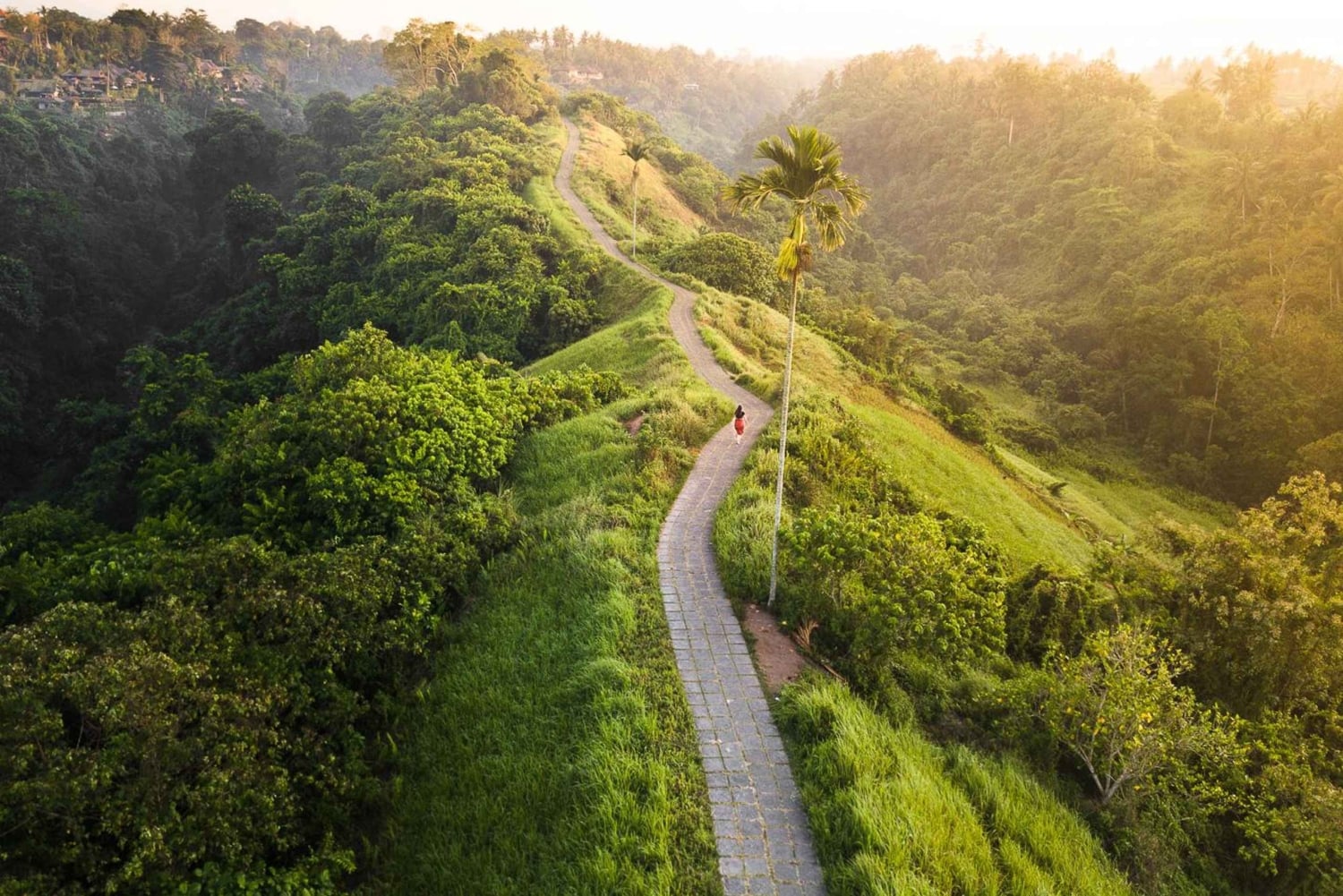 Ubud: Hidden Gems & Culture Tour with Jungle Lunch