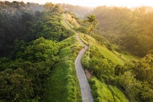 Ubud: Hidden Gems & Culture Tour with Jungle Lunch