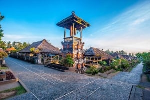Ubud: Hidden Gems & Culture Tour with Jungle Lunch