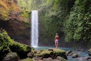 Ubud: Hidden Gems & Culture Tour with Jungle Lunch