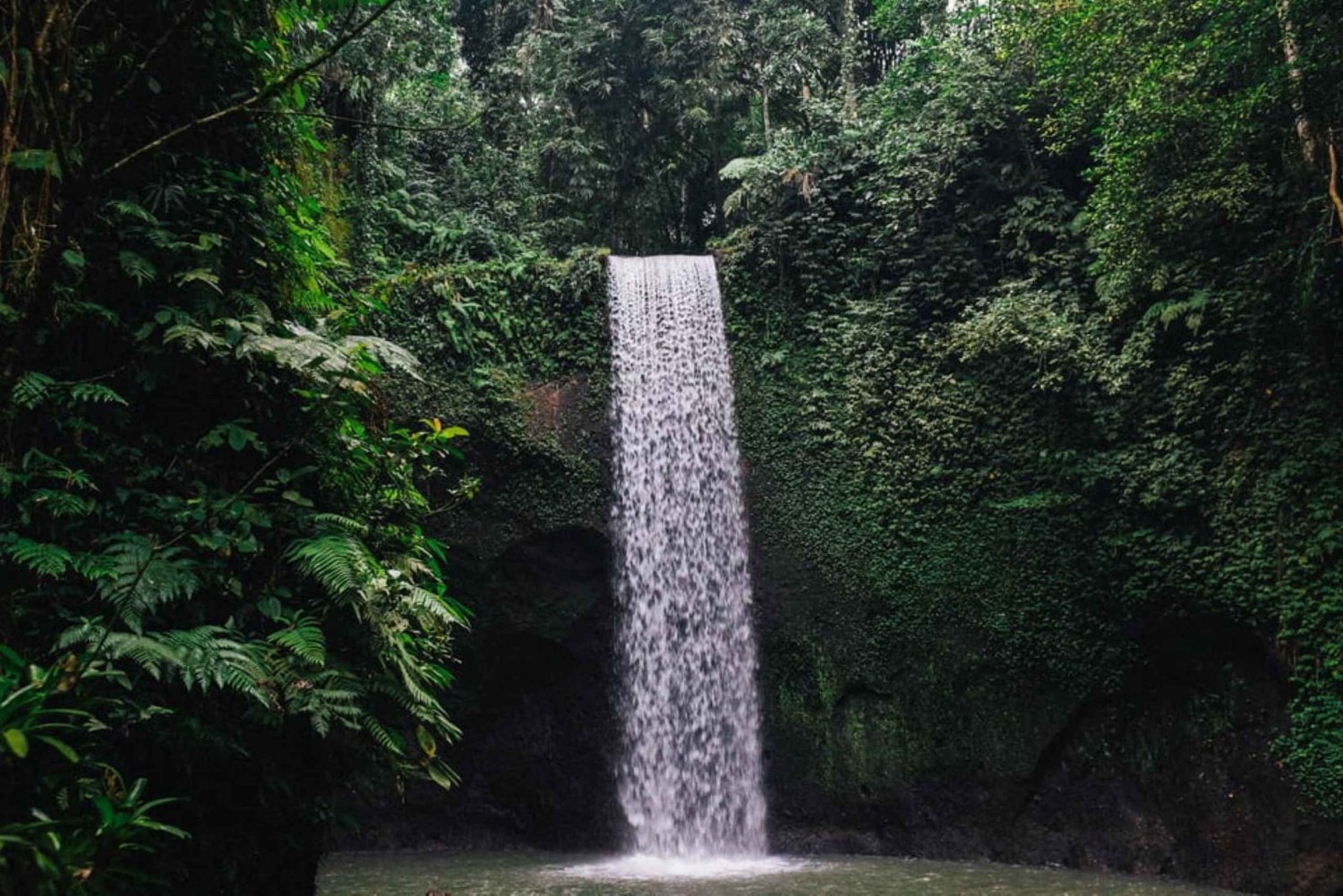 Joias ocultas de Ubud: Passeio pela cachoeira