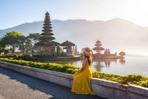 Ubud: Dolda vattenfall, risterrasser och Ulun Danu-tempel
